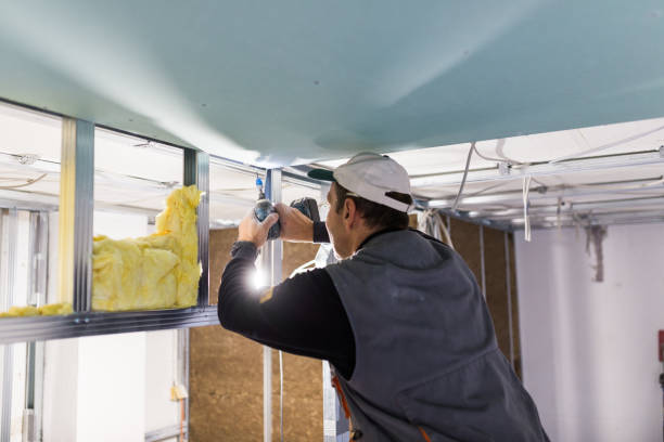 Best Insulation Maintenance and Repair in Albany, CA