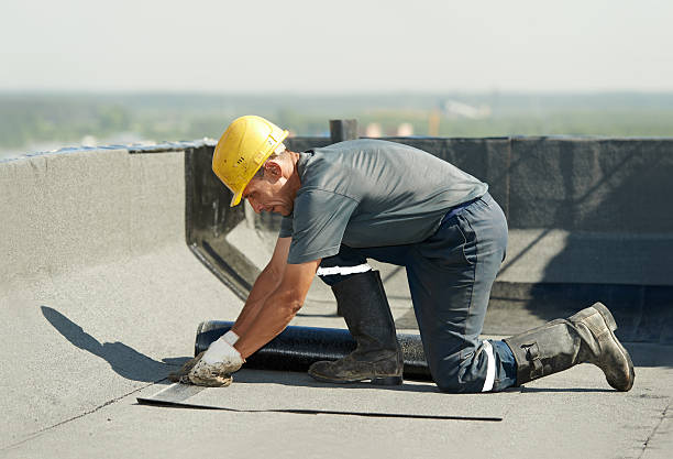 Best Insulation Materials and Products in Albany, CA