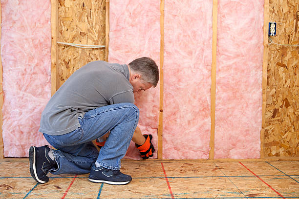 Best Insulation Materials and Products in Albany, CA